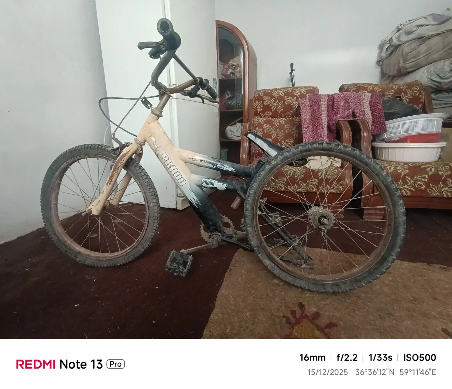 دوچرخه ۲۰|دوچرخه، اسکیت، اسکوتر|گلبهار, نوبهار|دیوار