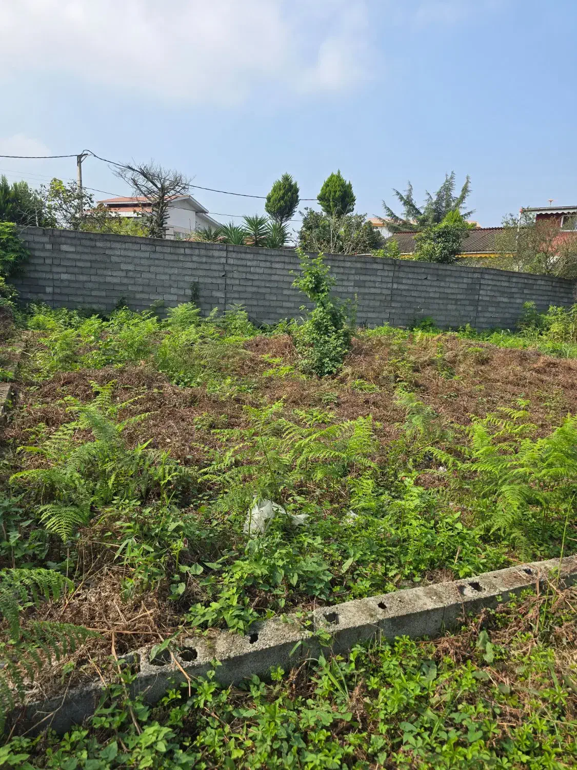 فروش زمین ۲۰۰متری باکاربری مسکونی|فروش زمین و ملک کلنگی|واجارگاه, |دیوار