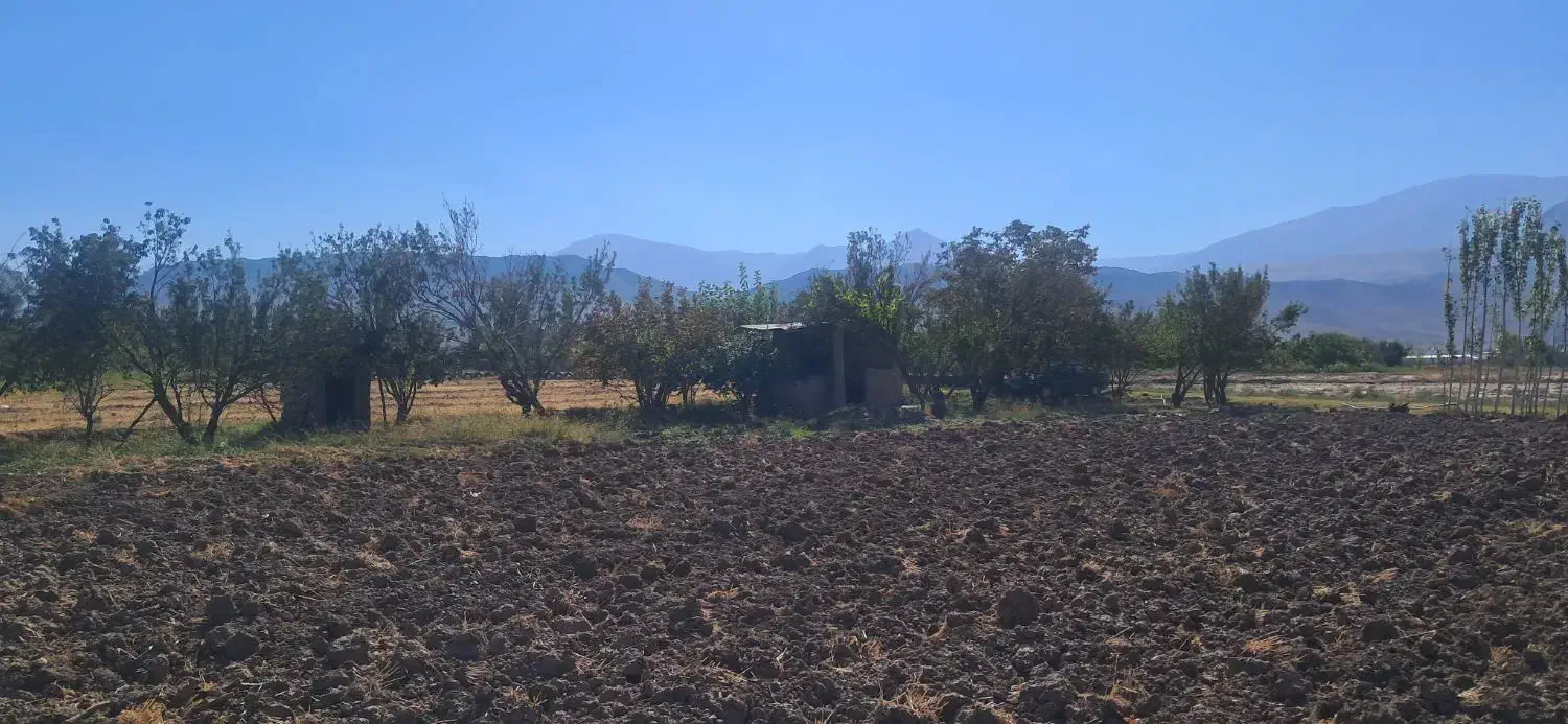 قطعه باغ واقع در دیزج حسین بیگ به مساحت ۵۰۰۰ متر|فروش زمین و ملک کلنگی|کشکسرای, |دیوار