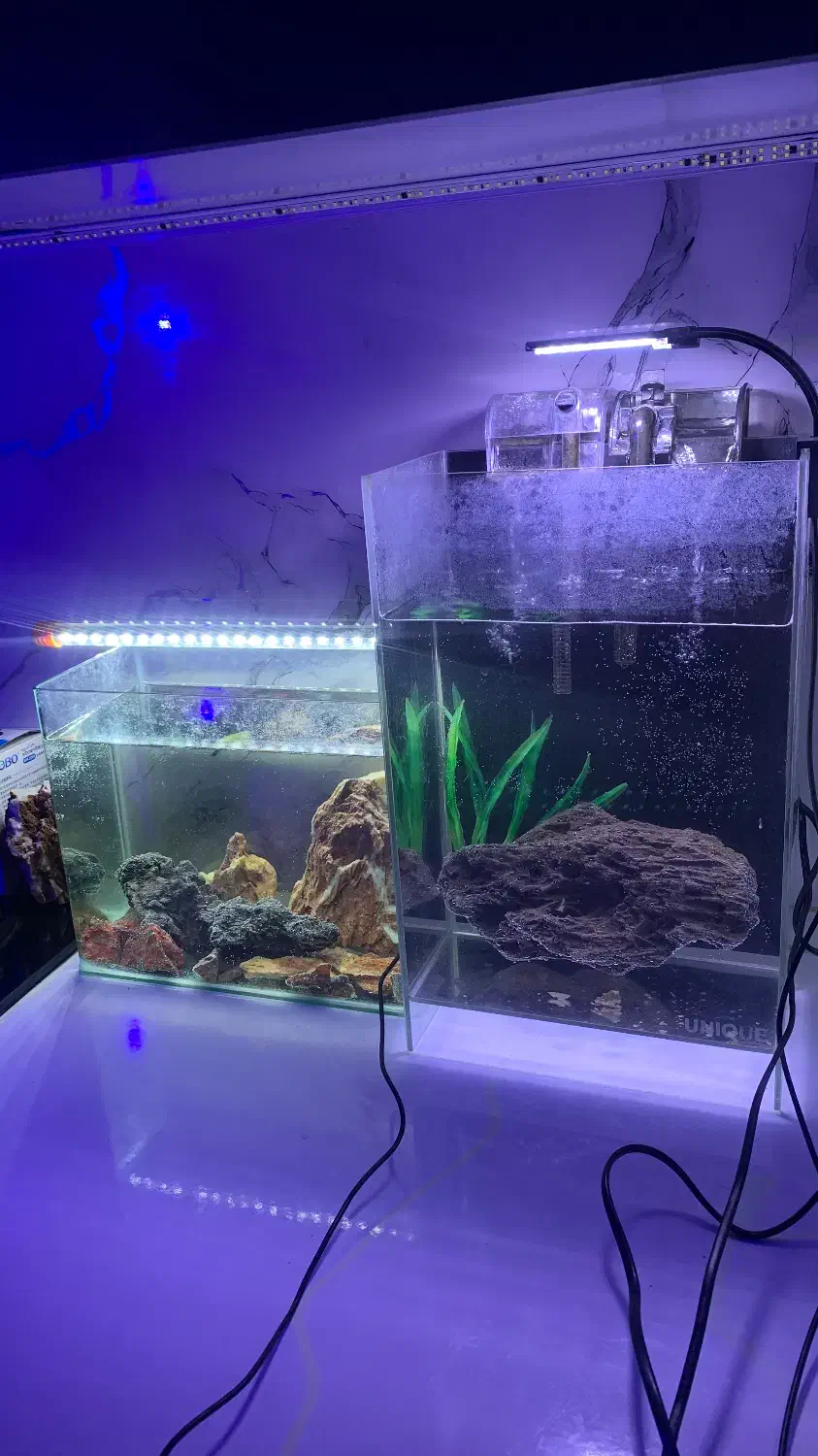 آکواریوم با تمامی تجهیزات|ماهی|لنگرود, |دیوار