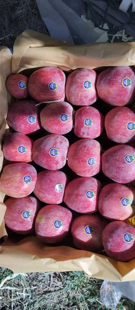 سیب قرمز وسفید|حراج|فندقلو, |دیوار