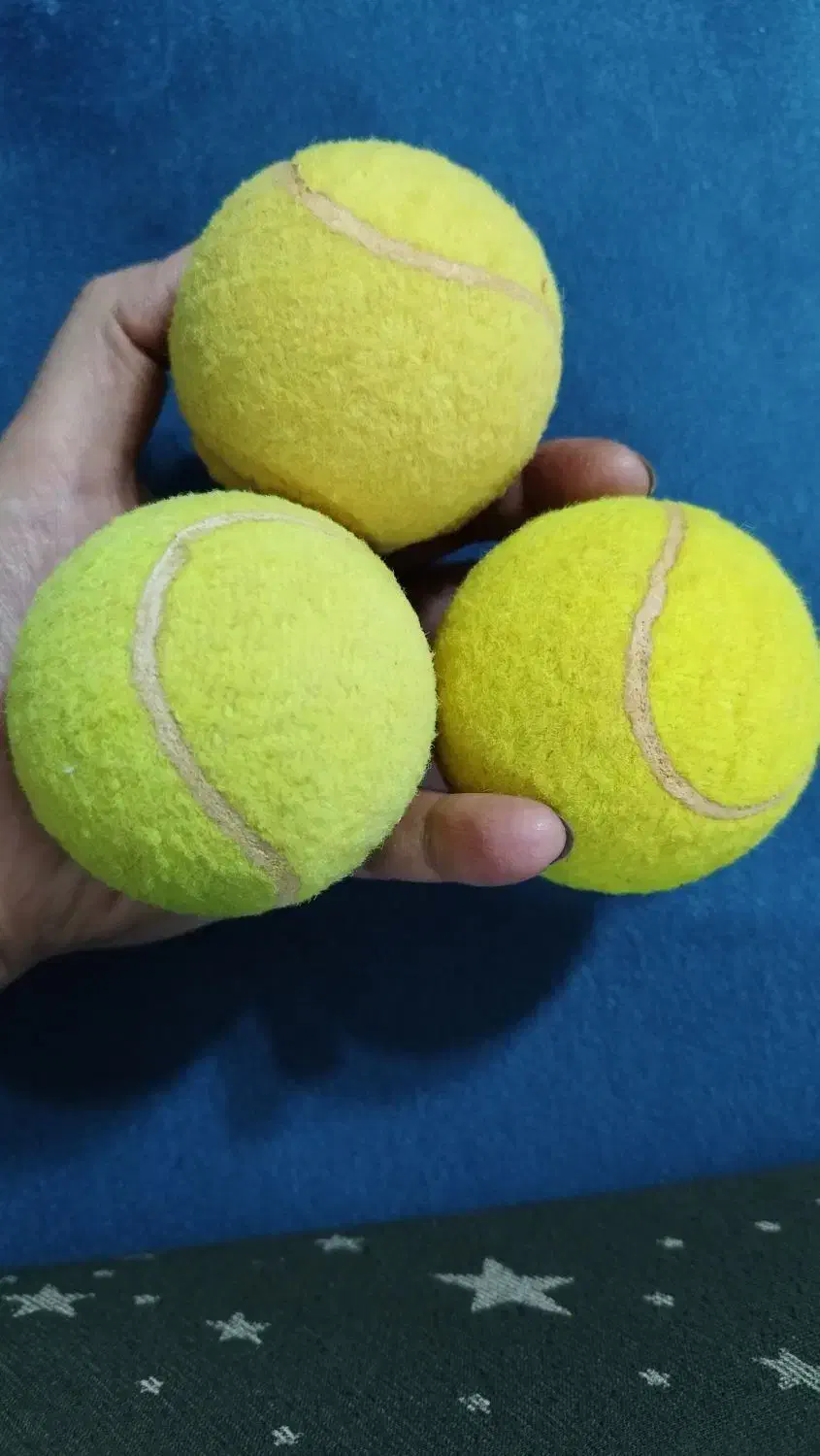 توپ تنیس پدل|ورزش‌های توپی|شیراز, شریف‌آباد|دیوار