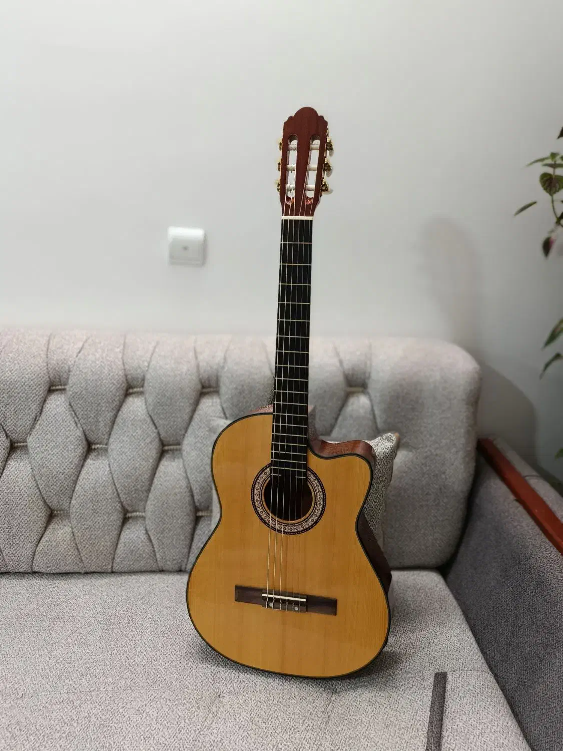 گیتار نیمه حرفه ای|گیتار، بیس، امپلیفایر|فولادشهر, مسکن مهر فولادشهر|دیوار