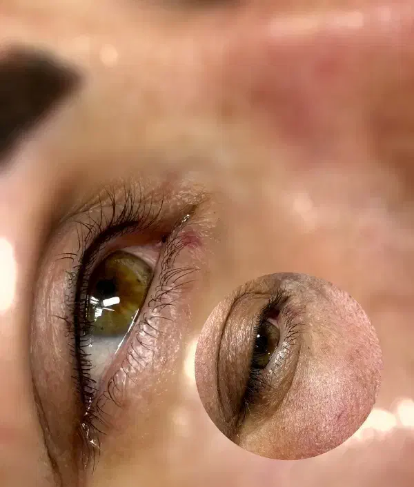 مدل شیدینگ لب و میکرو ابرو|خدمات آرایشگری و زیبایی|بندر کنگان, |دیوار