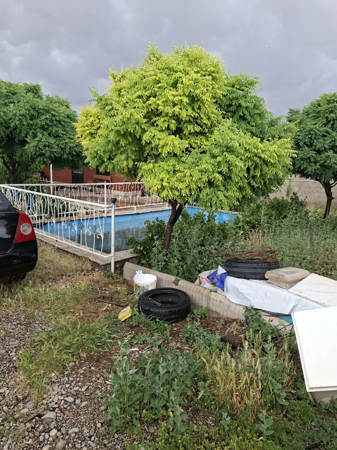تصویر 12