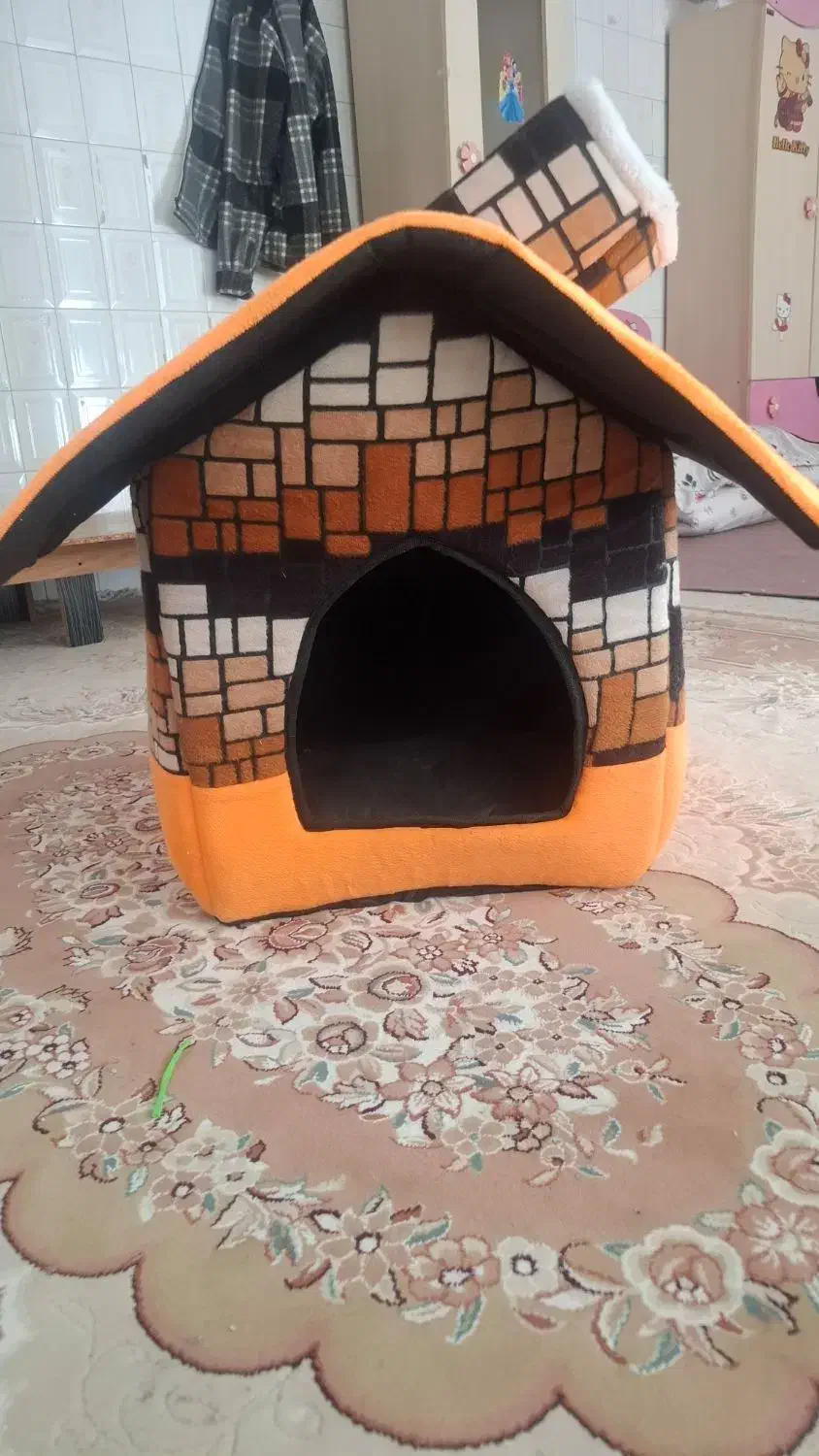 سگ نژاد شیتزو و یورکشایرتریر،|سگ|شهرضا, |دیوار