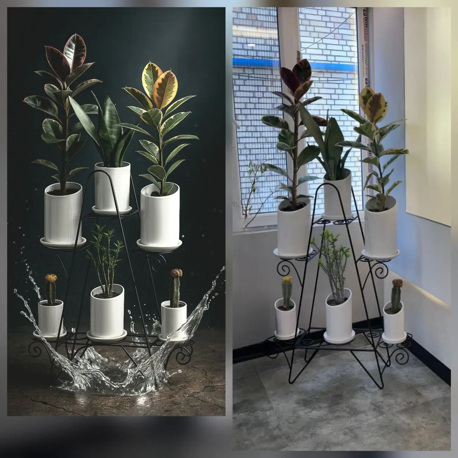 استند گل فلزی|گل و گیاه طبیعی|هشتگرد, ینگی امام|دیوار