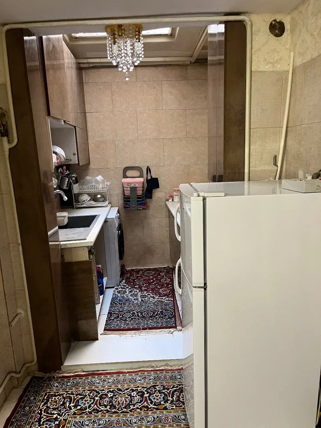 ۴۸ متر/پارکینگ/حتی مجرد /شکوفه خ درودیان