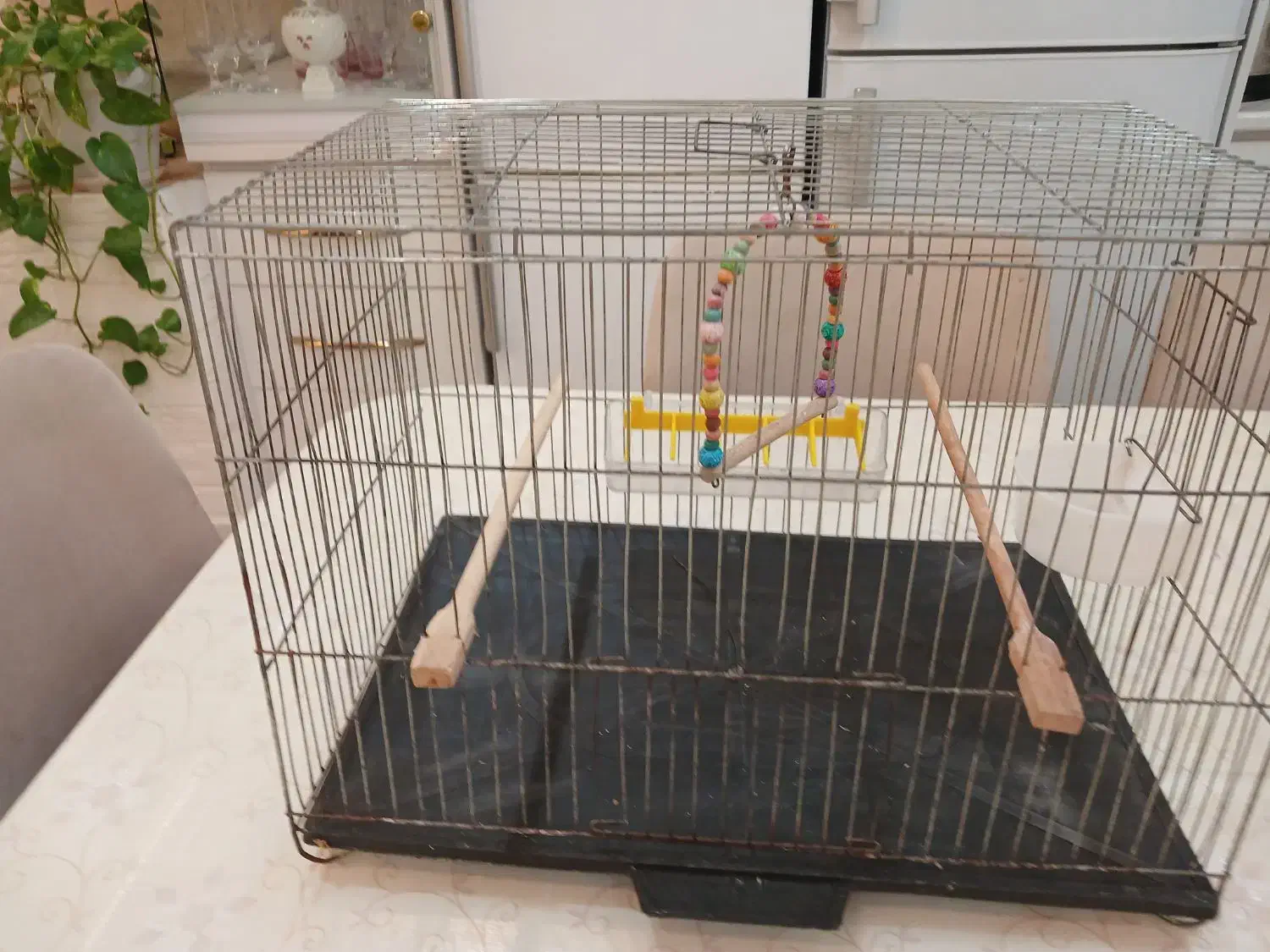 فروش قفس پرنده با تمام وسایل سایزبزرگ|لوازم جانبی حیوانات|رشت, نیروی دریایی|دیوار