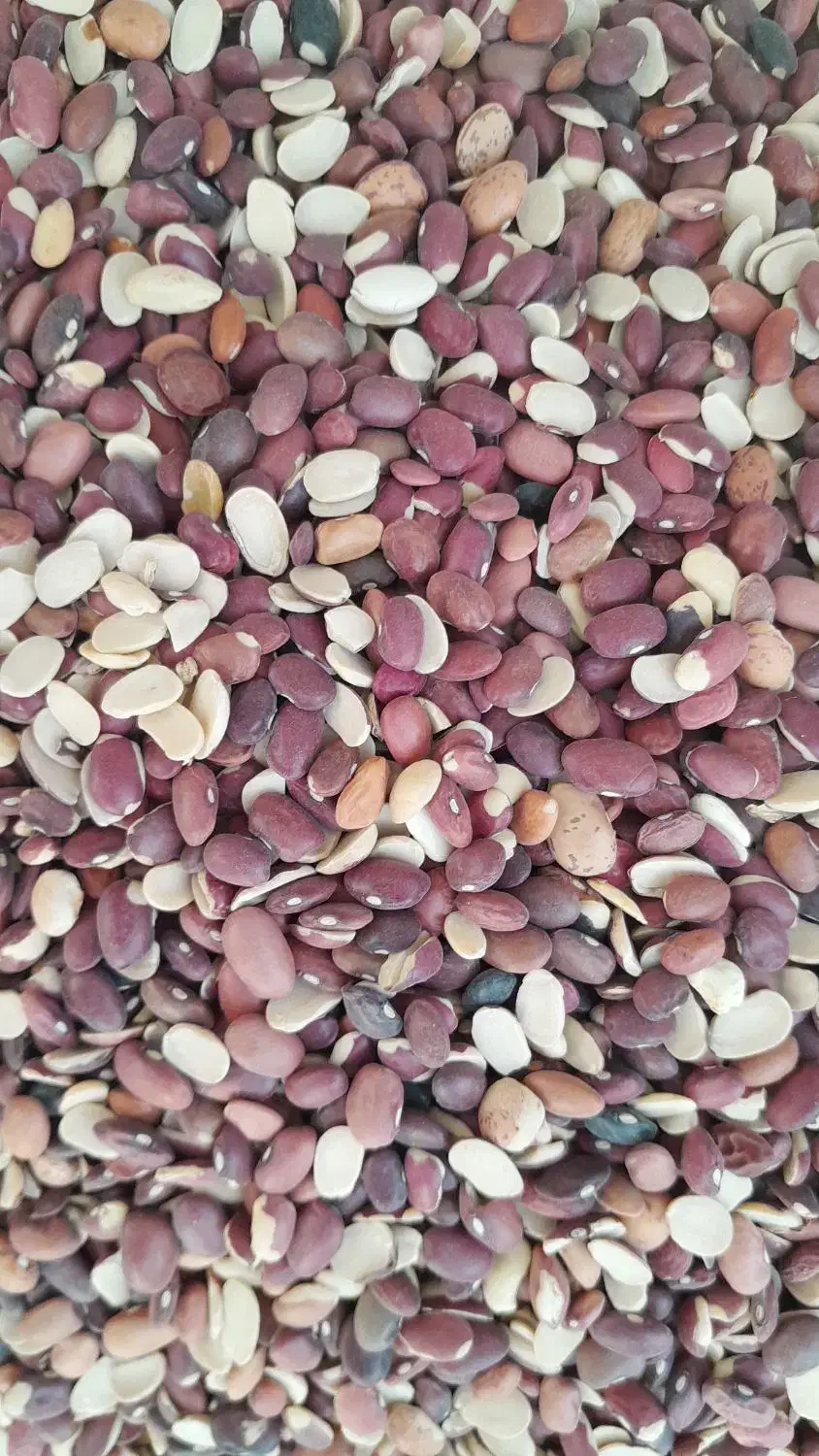 لوبیا قرمز|خوردنی و آشامیدنی|شیراز, شریفآباد|دیوار