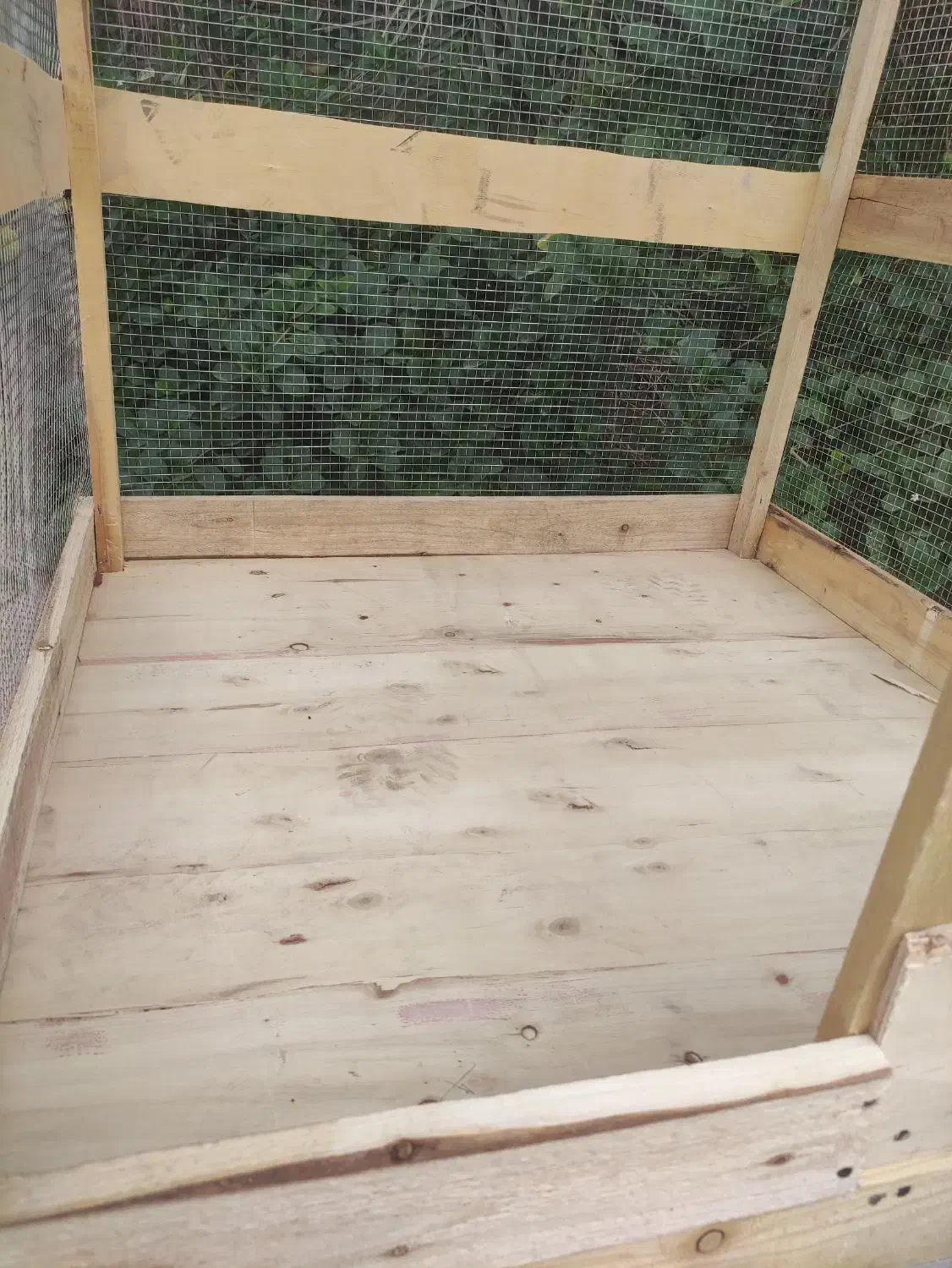 قفس پرنده|لوازم جانبی حیوانات|بم, |دیوار