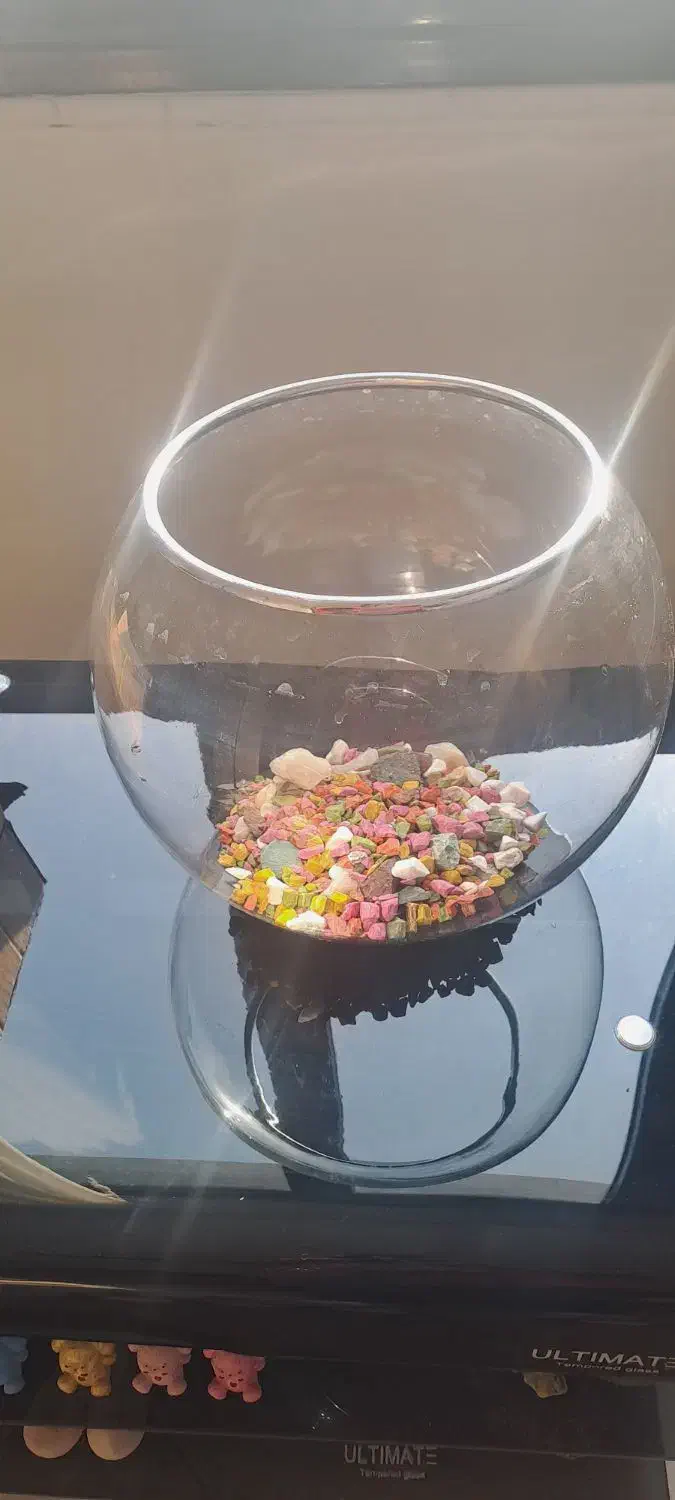 تنگ بزرگ ضخیم و محکم|ماهی|تهران, علم و صنعت|دیوار