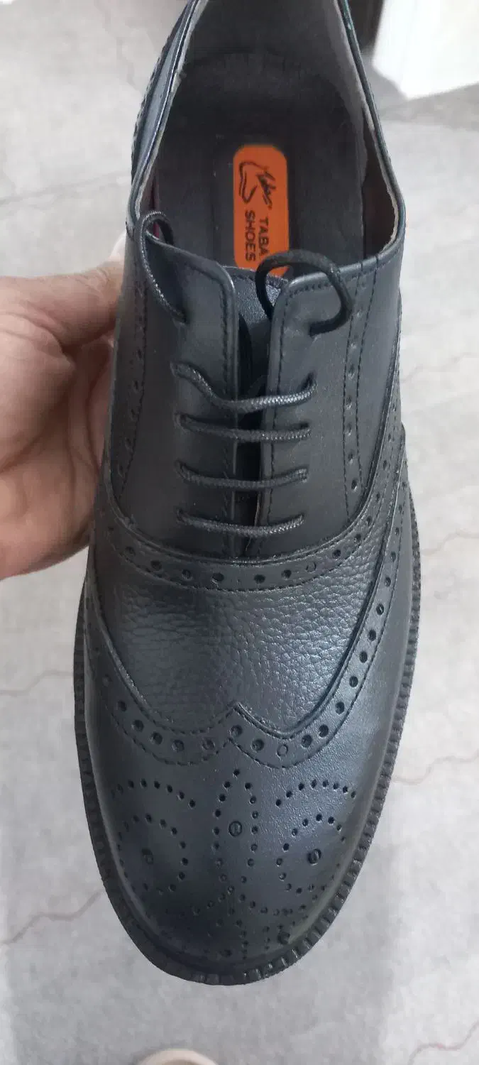 کفش مردانه|کیف، کفش، کمربند|فسا, |دیوار