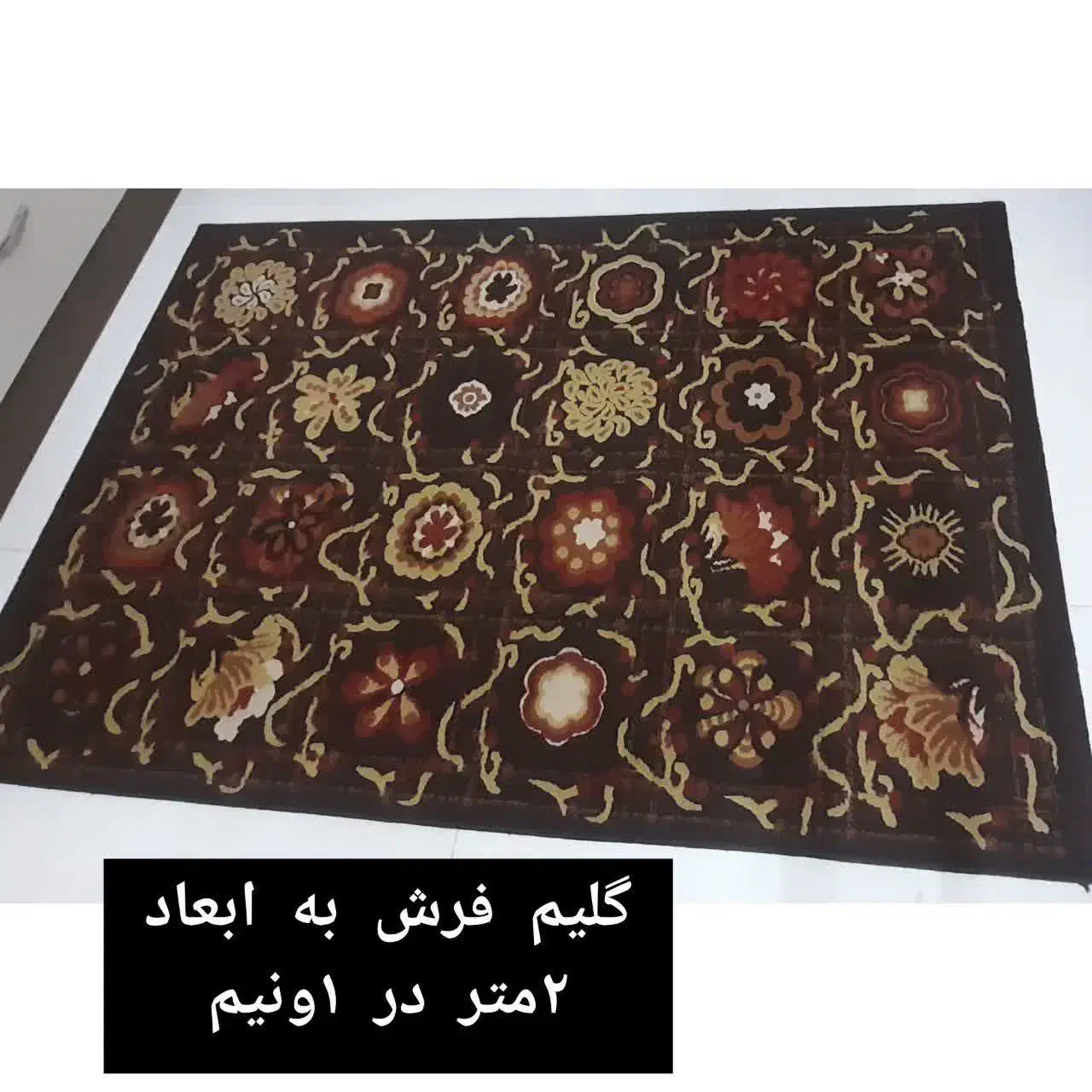 گلیم فرش|گلیم، جاجیم، گبه|پرند, فاز ۱|دیوار