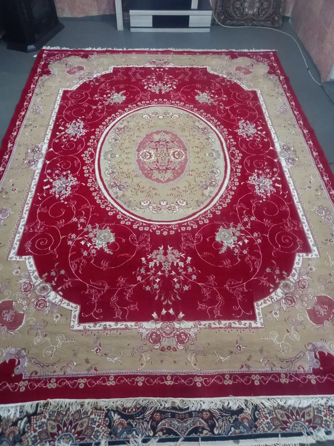 دو تا قالی ۱۲متر درحد نو|فرش|تربت جام, شیخ احمد جامی|دیوار