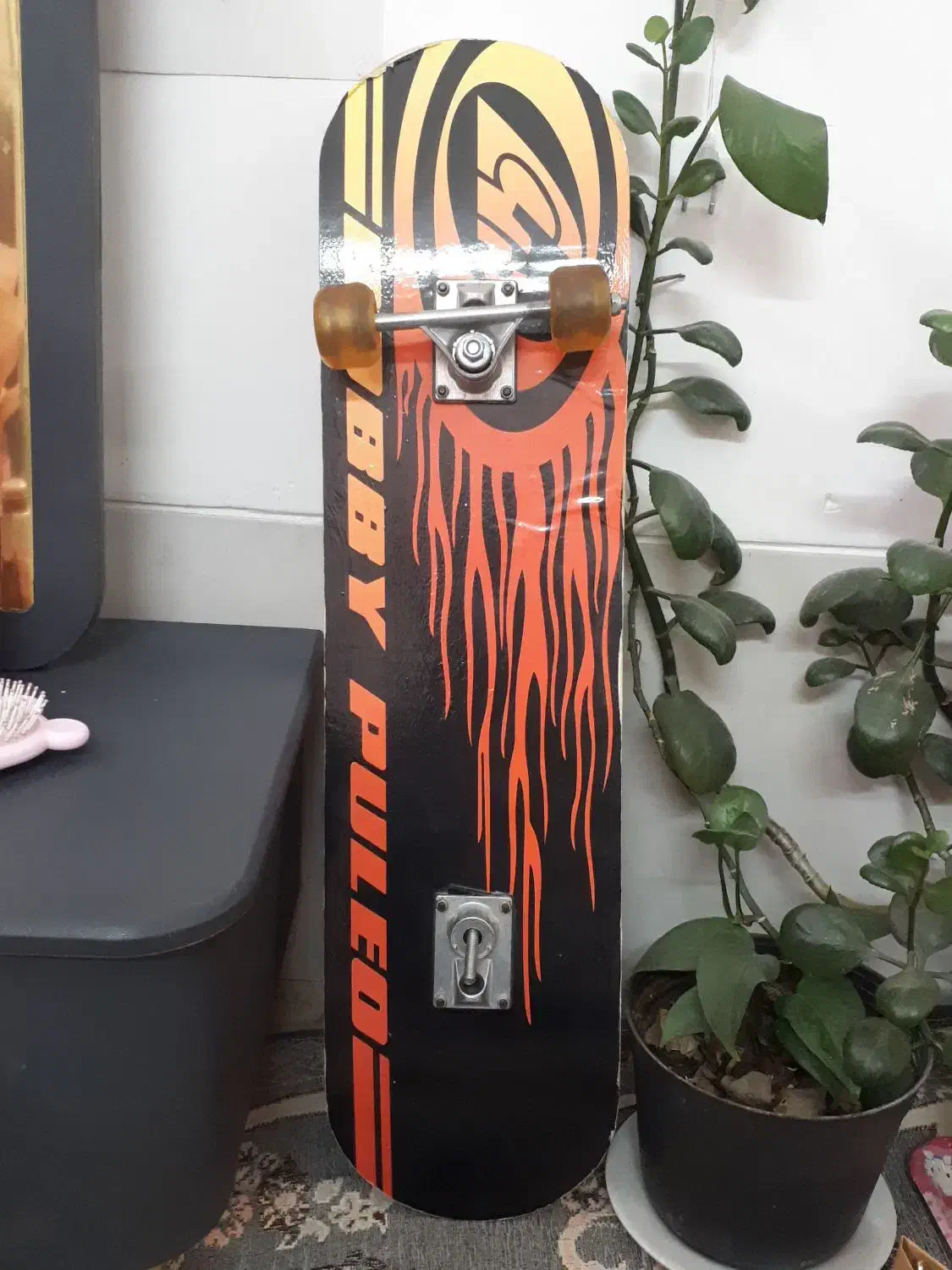 اسکیت برد|دوچرخه، اسکیت، اسکوتر|یزد, |دیوار