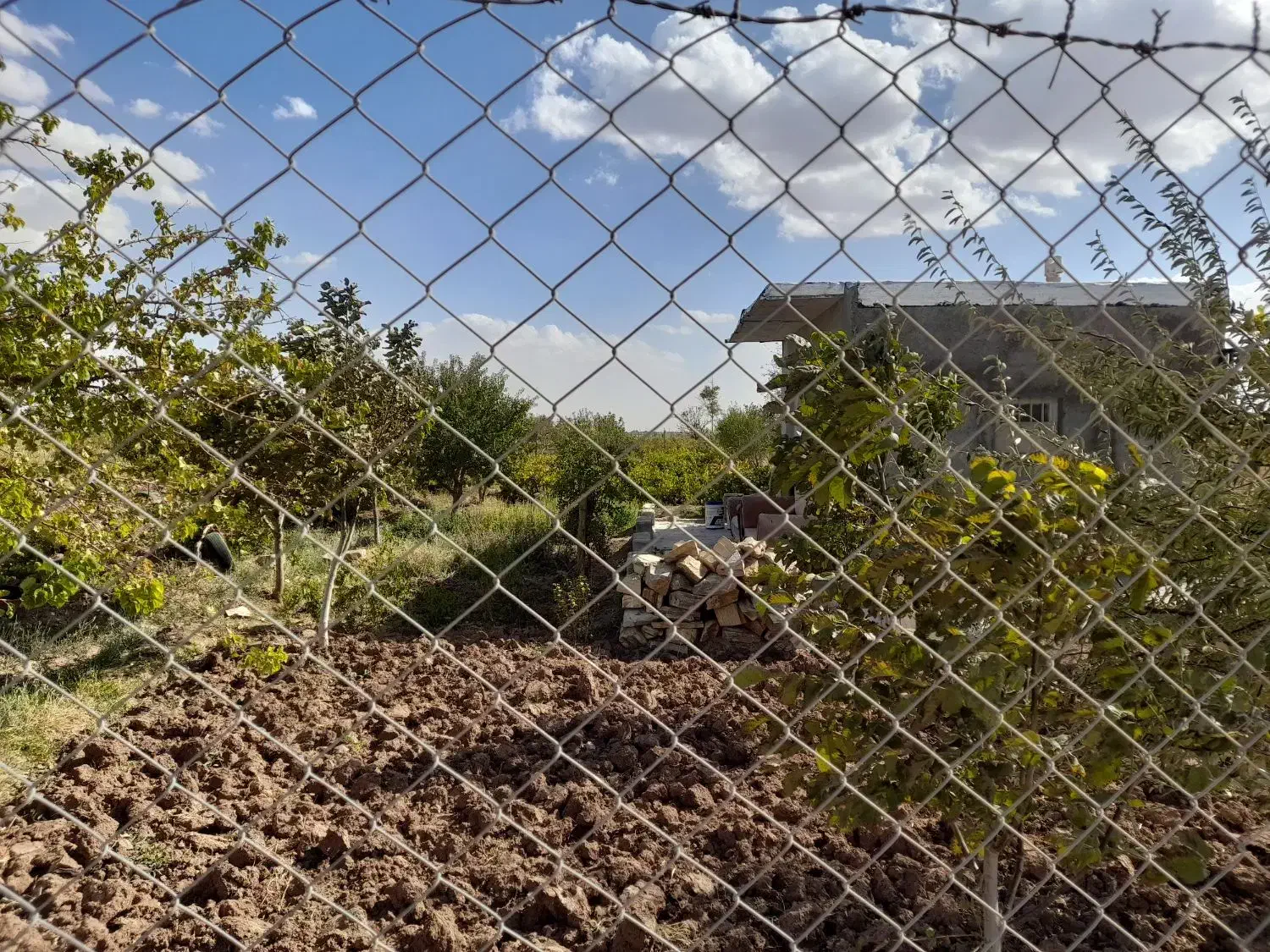 باغ ثمرده در آبخوره با سهم آب|فروش دفتر صنعتی، کشاورزی، تجاری|دشتابی, |دیوار