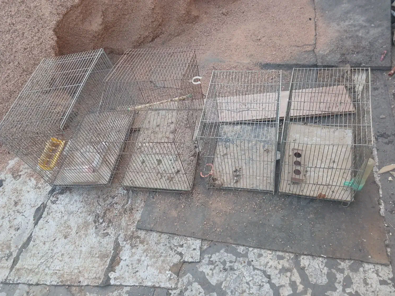 قفس پرنده|لوازم جانبی حیوانات|شیراز, غدیر شمالی|دیوار