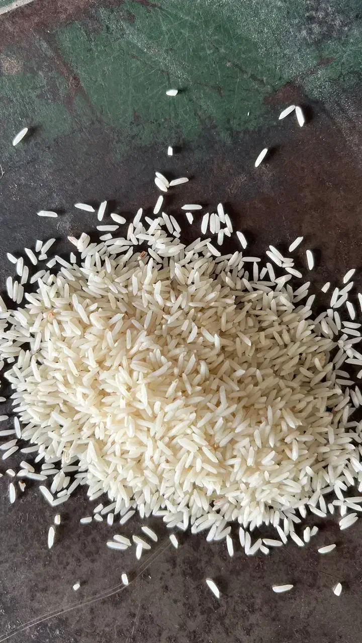 برنج شیرودی سوپر لوکس|خوردنی و آشامیدنی|بهشهر, |دیوار