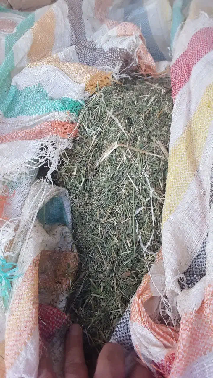 یونجه|لوازم جانبی حیوانات|جاپلق, |دیوار