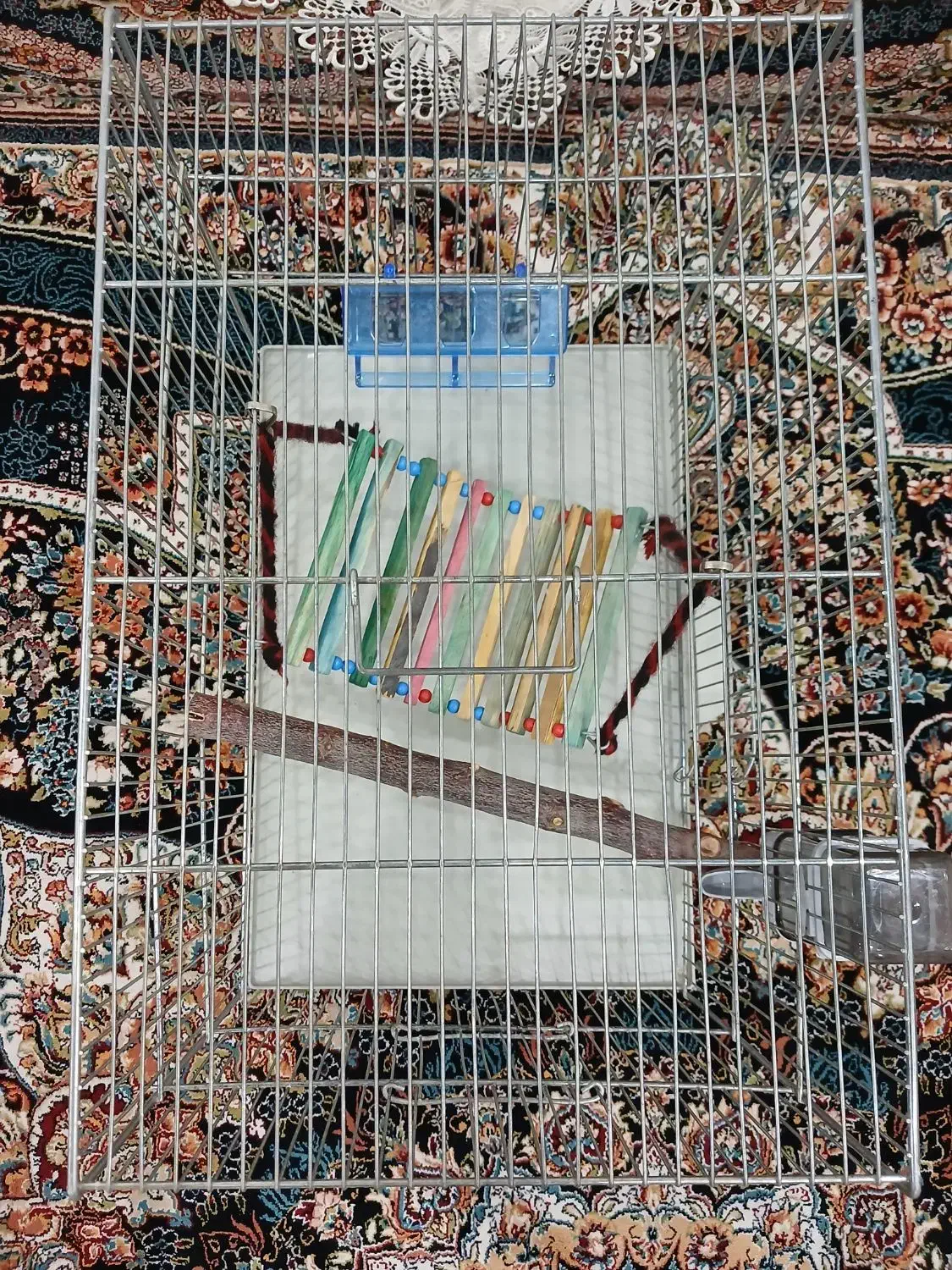 قفس پرنده|لوازم جانبی حیوانات|پاکدشت, پاکدشت (مامازند)|دیوار