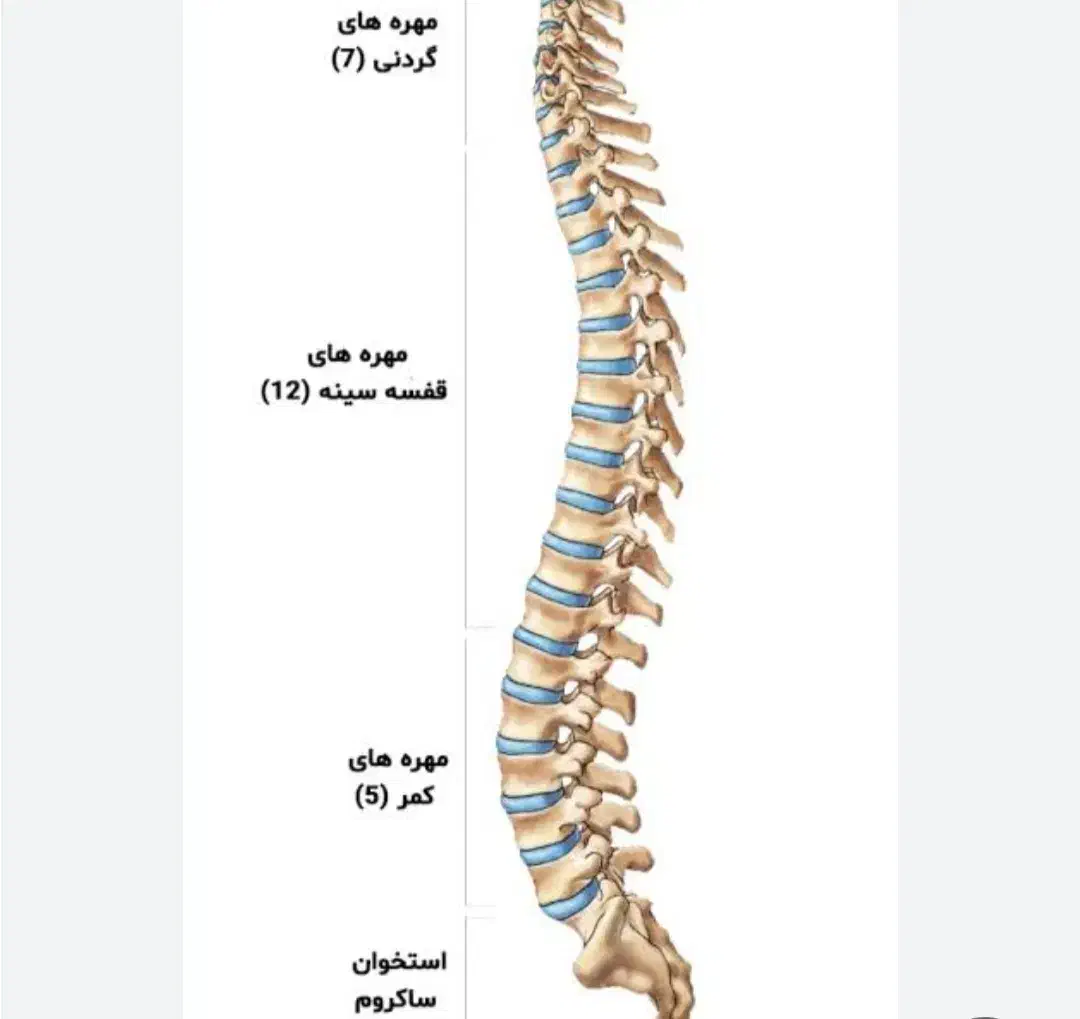 سلام راهنمای|فعالیت داوطلبانه تحقیقاتی|دهدشت, |دیوار