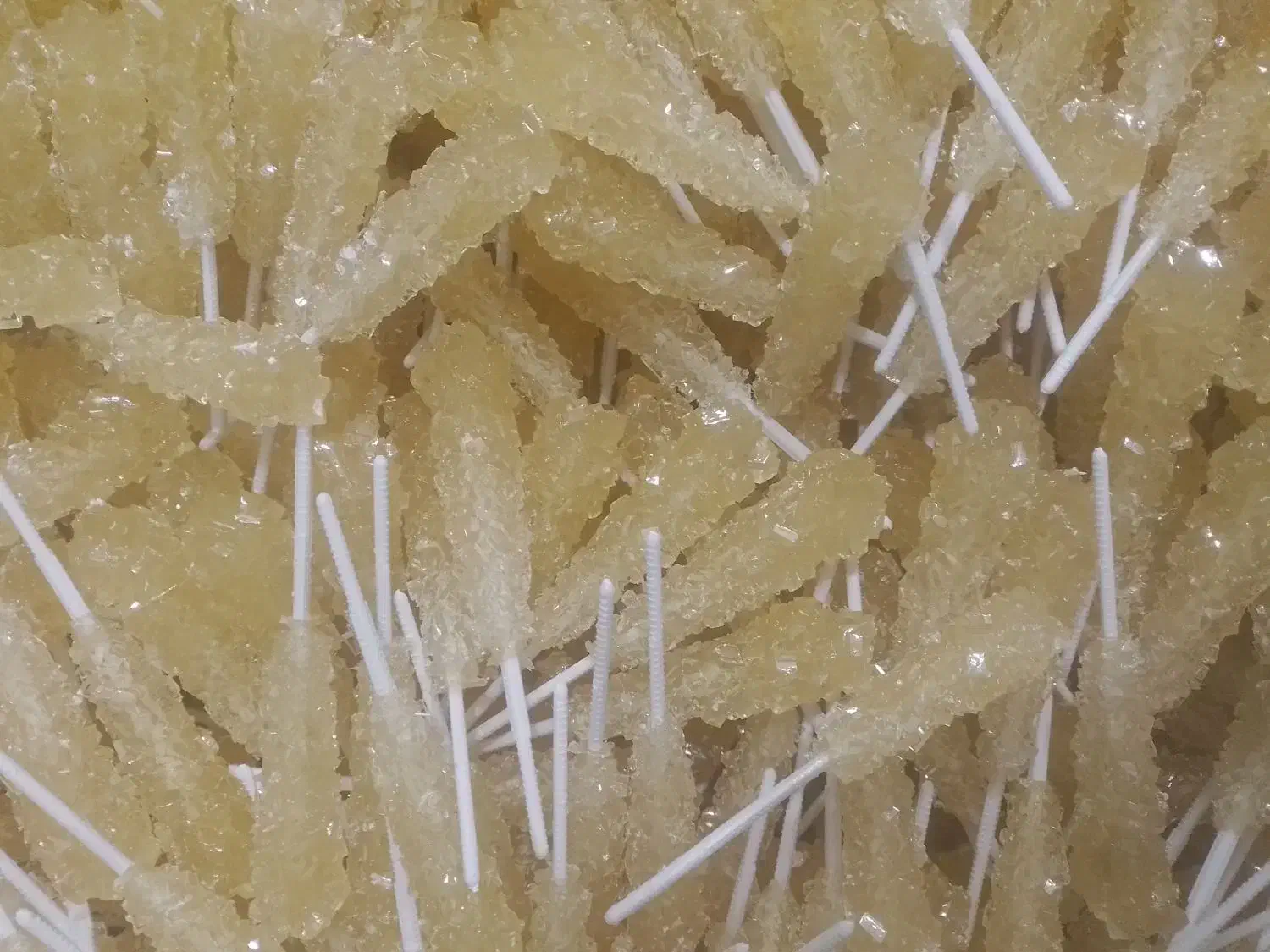 نبات چوبی زرد|خوردنی و آشامیدنی|اصفهان, پوریای ولی|دیوار