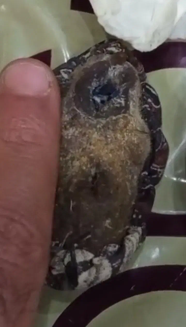 سنگ حبهاب (جذب فوری)|جواهرات|یزد, |دیوار