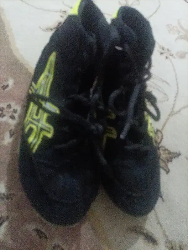 کفش کشتی|کیف، کفش، کمربند|شاهینشهر, شهرک گلدیس|دیوار