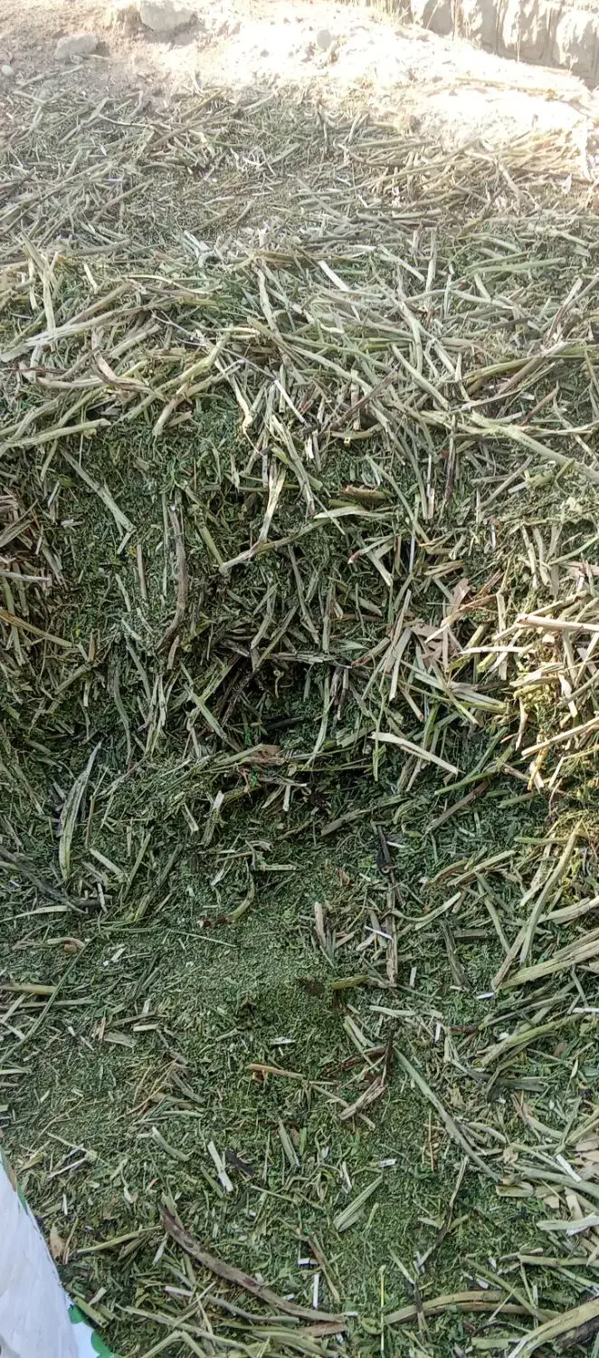 کاه باقله تمیز|حیوانات مزرعه|گچی, |دیوار