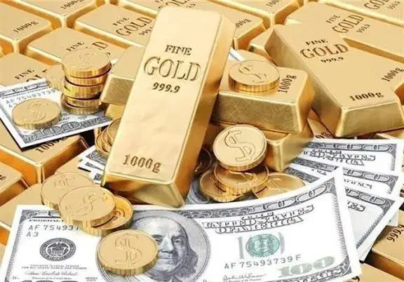سرمایه|فعالیت داوطلبانه|قم, پردیسان|دیوار