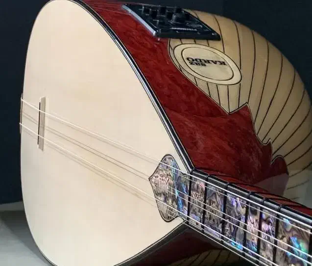 باغلاما ،عاشیخ سازی،قوپوز پخش (فروشگاه آرتا ساز)|سازهای سنتی|اردبیل, |دیوار