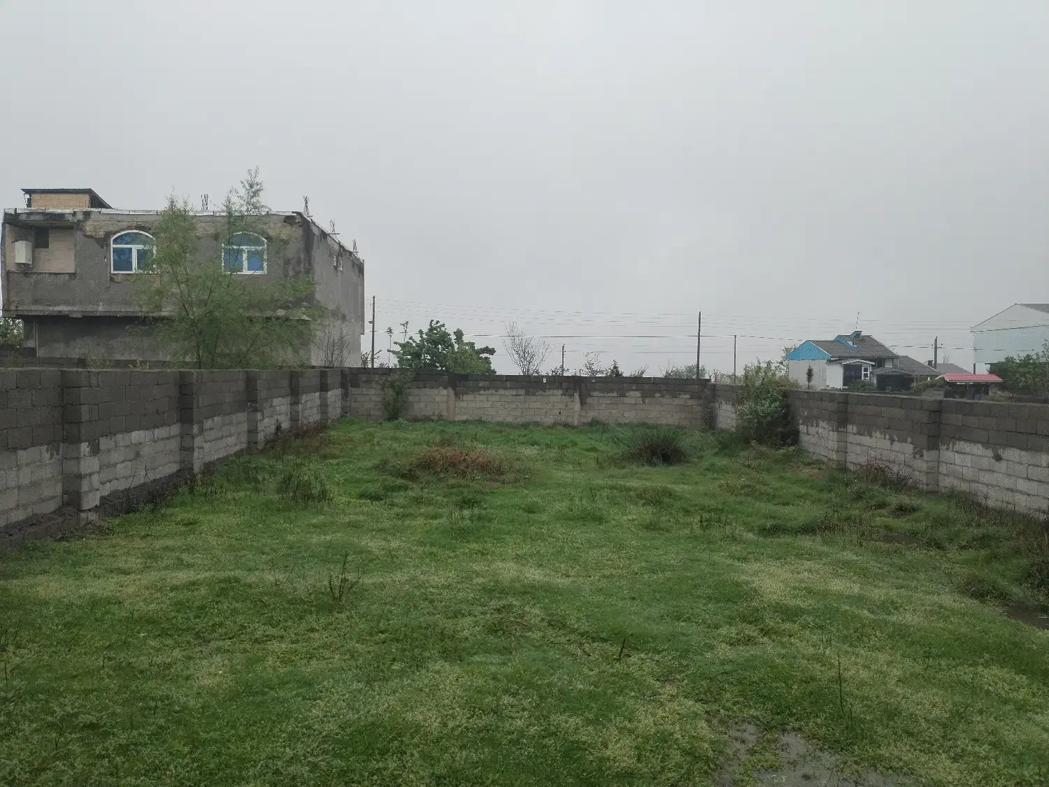 بام سبز 300 متر سند تک برگ|فروش زمین و ملک کلنگی|رضوانشهر, |دیوار