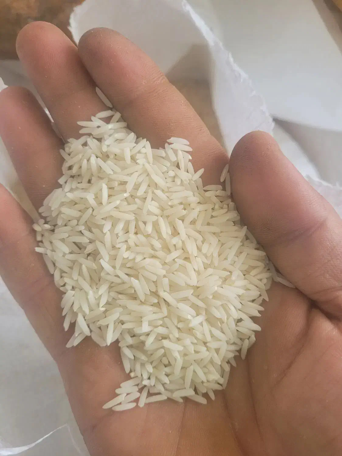 برنج دمسیا2الکه و سورتینگ شده|خوردنی و آشامیدنی|رشت, گلسار|دیوار