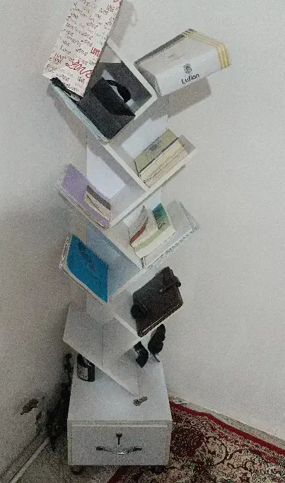 کتابخانه درختی|کتابخانه، شلف، قفسه‌های دیواری|سلماس, |دیوار