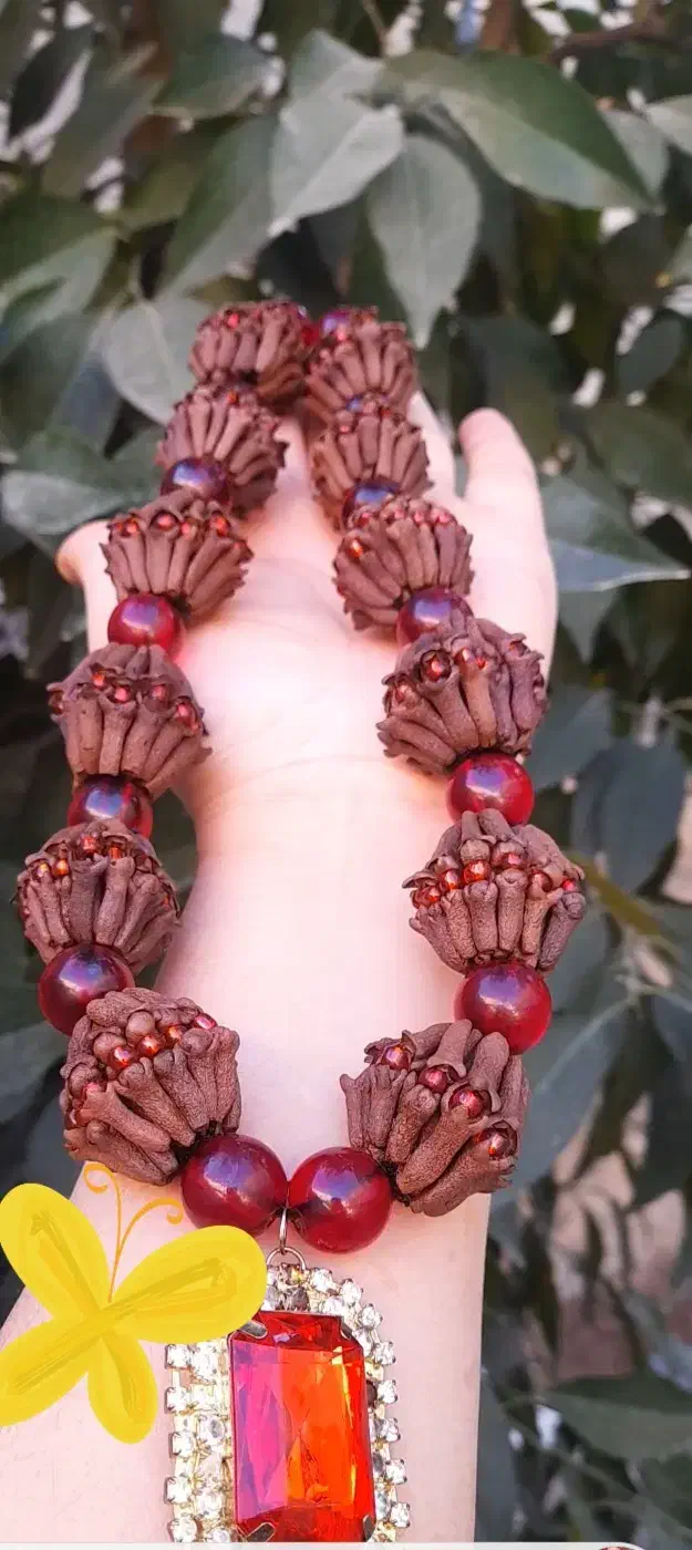 میخک خوش بو|بدلیجات|لردگان, |دیوار