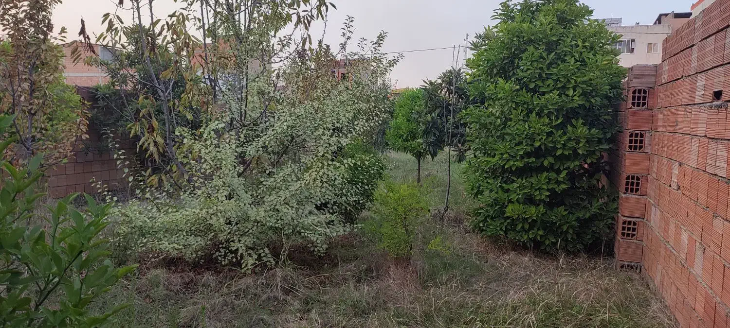 زمین سند دار 300متر شکار. سند دار فاضل اباد|فروش زمین و ملک کلنگی|فاضل آباد, |دیوار