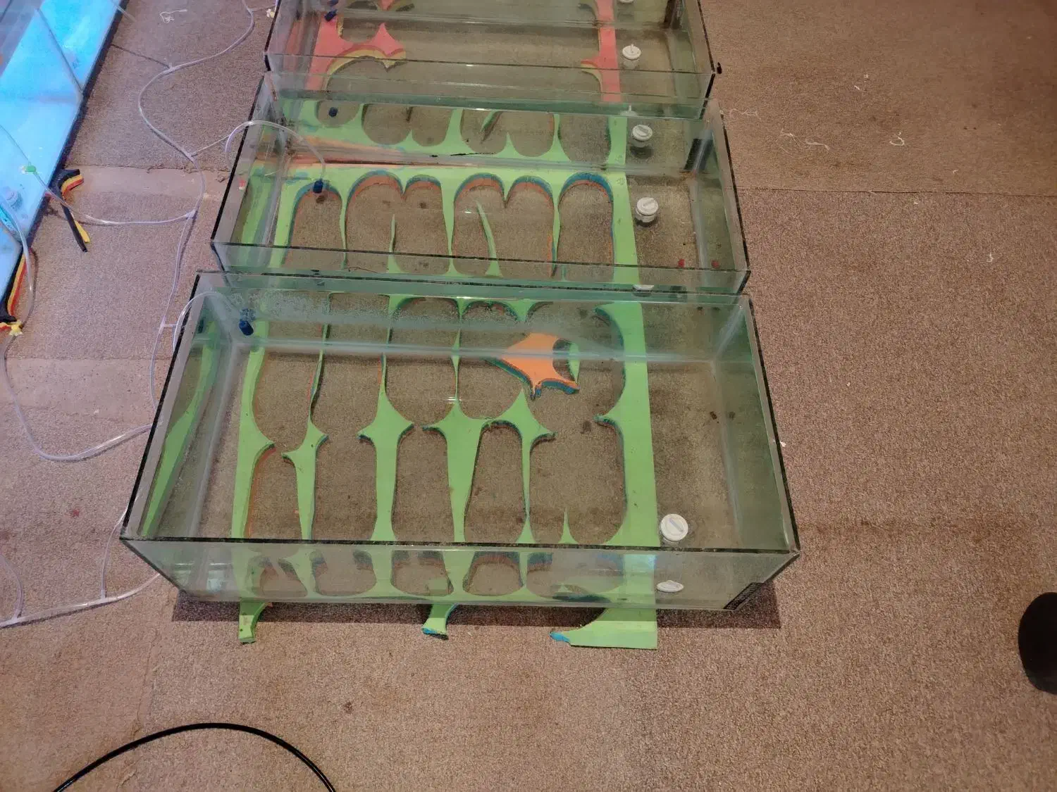 اکواریوم|ماهی|جلیل آباد, |دیوار