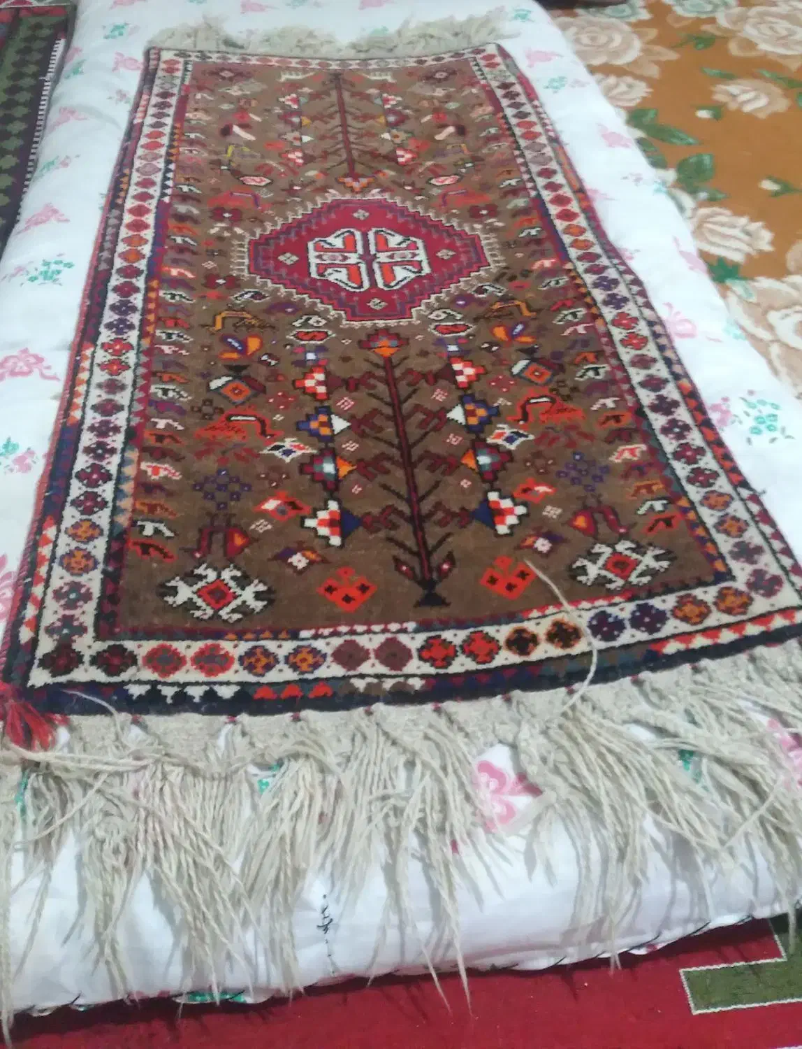 قالی|فرش|پاسارگاد, |دیوار