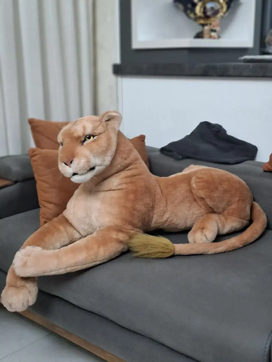 عروسک  ببر بزرگ|مجسمه، تندیس، ماکت|همدان, |دیوار