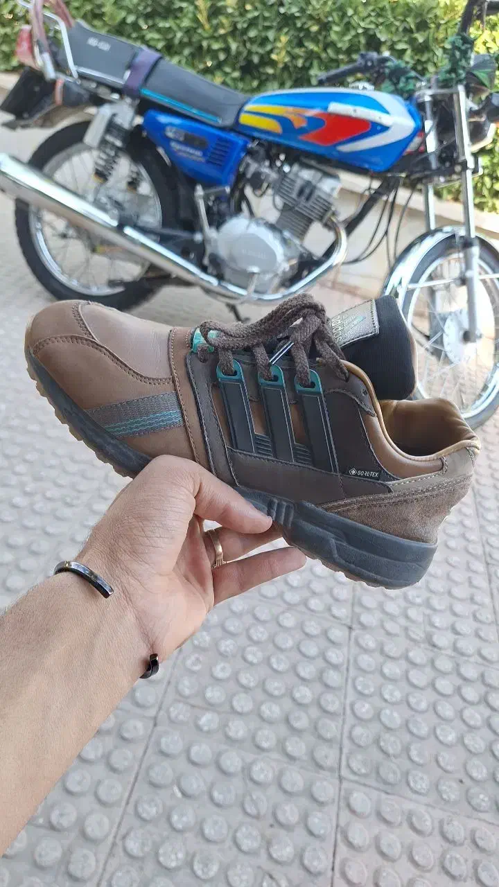 zx اکومت قهوه‌ای|کیف، کفش، کمربند|صباشهر, |دیوار