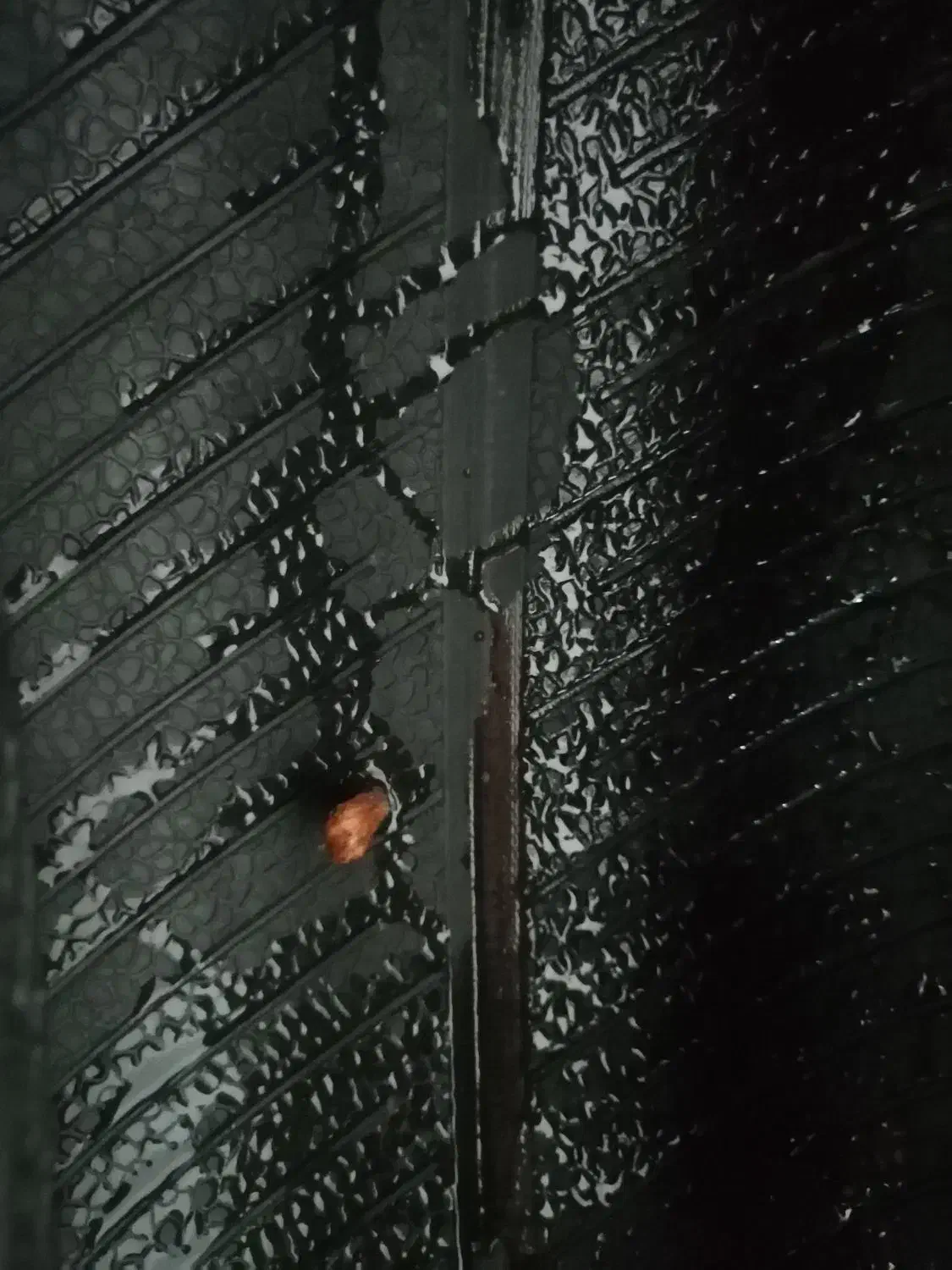 لاستیک پرایدی|قطعات یدکی و لوازم جانبی|قم, باغ شریفی|دیوار