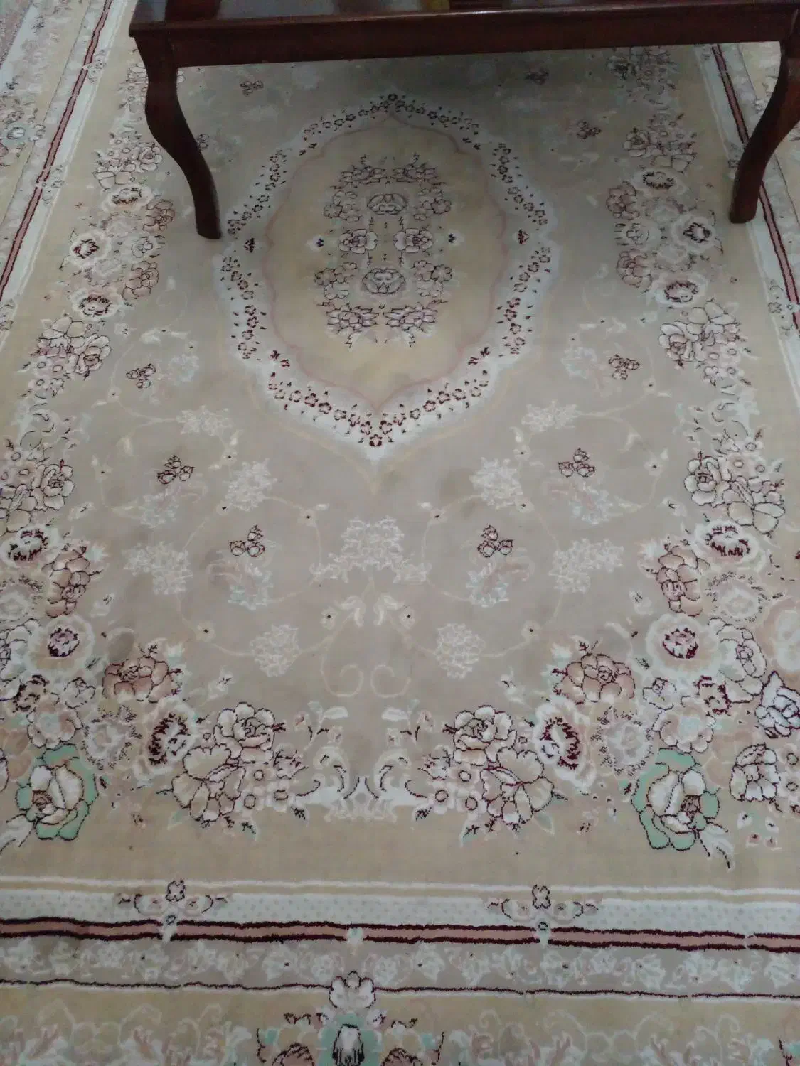 فرش|فرش|بندر انزلی, ساحل قو|دیوار