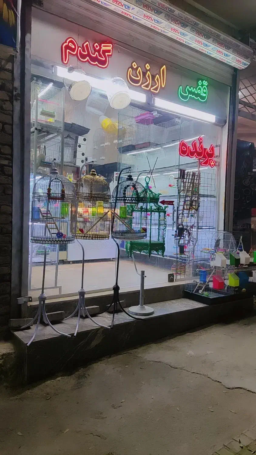 پرنده فروشی قفس عروس هلندی فنچ مرغ عشق|پرنده|مشهد, شهرک بهارستان|دیوار