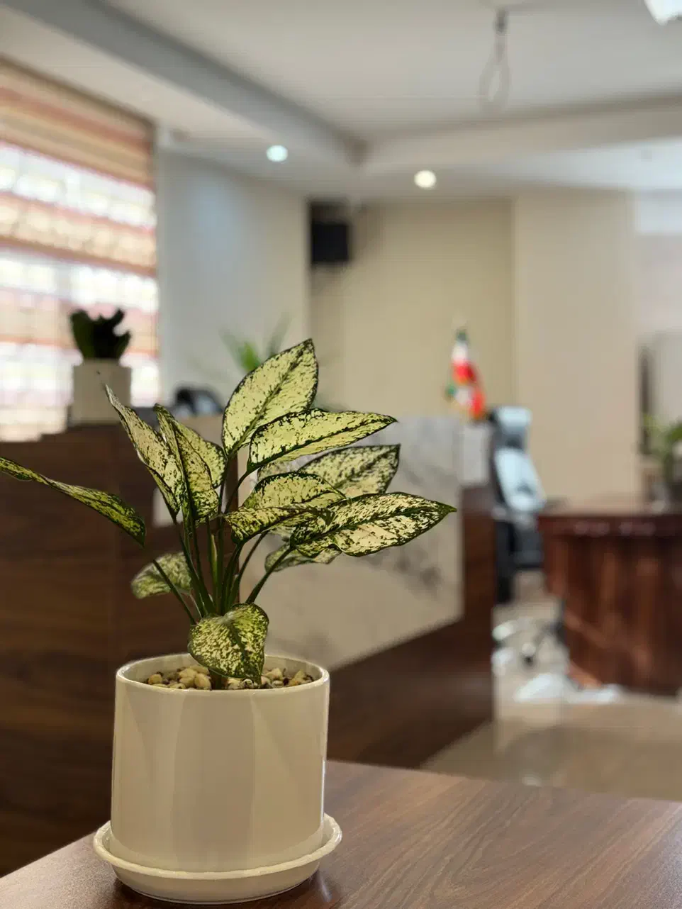 استخدام عریضه نویس در شهریار|استخدام مالی، حسابداری، حقوقی|شهریار, شهریار|دیوار