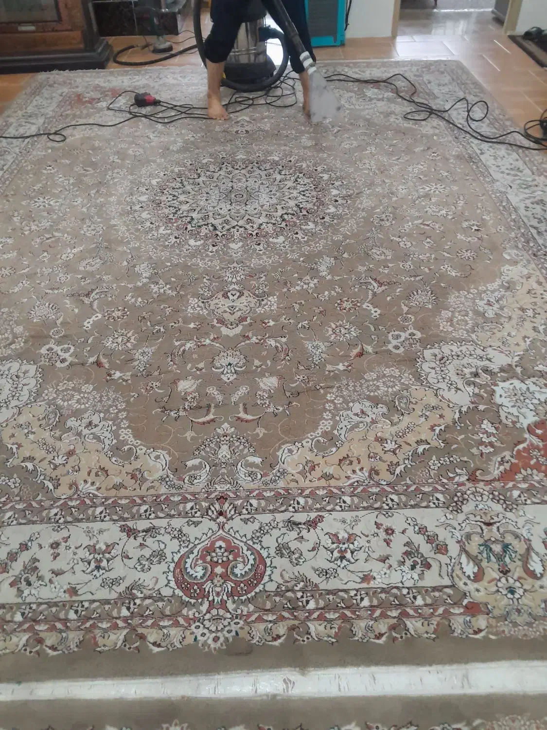 تضمینی شستشوی فرش در منزل|خدمات نظافت|زیرآب, |دیوار