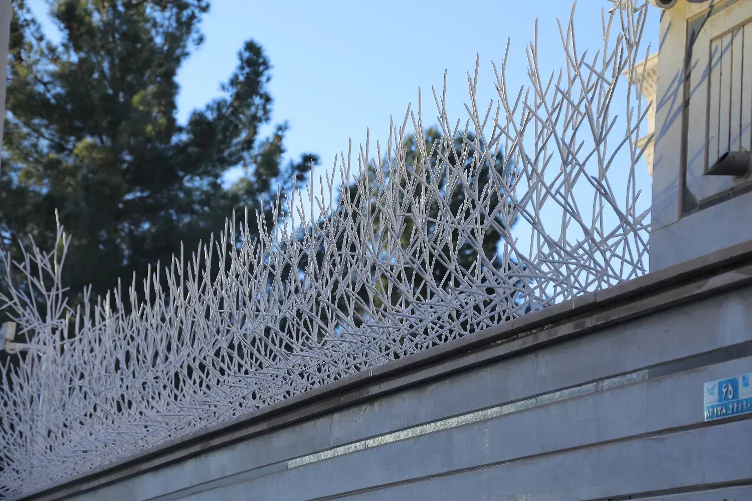 فروش حفاظ خاری شاخ گوزنی بوته ای|خدمات پیشه و مهارت|اصفهان, بوستان ناژوان|دیوار