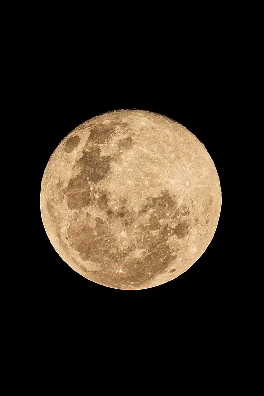 تدریس دروس راهنمایی و ابتدایی و زبان انگلیسی|خدمات آموزشی|نیشابور, شهرک فیروزه|دیوار