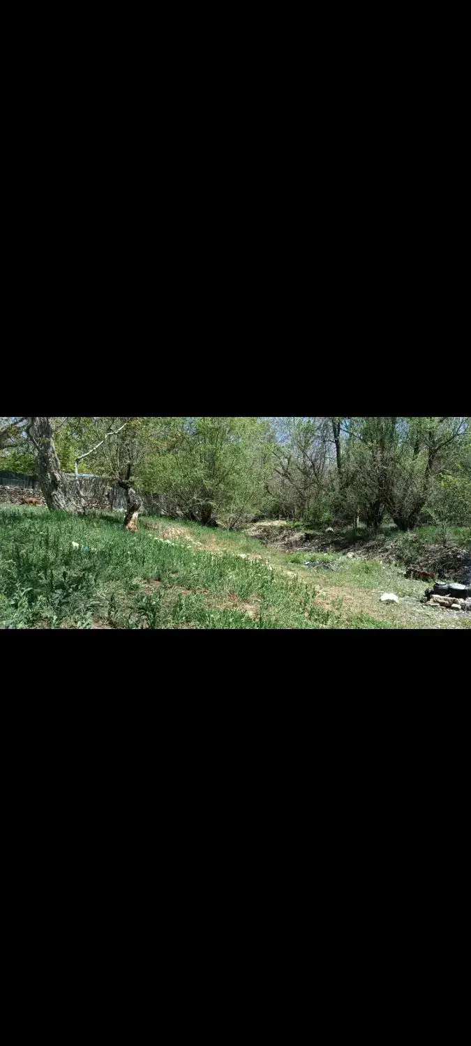 باغ زمین|فروش زمین و ملک کلنگی|خرقان, |دیوار