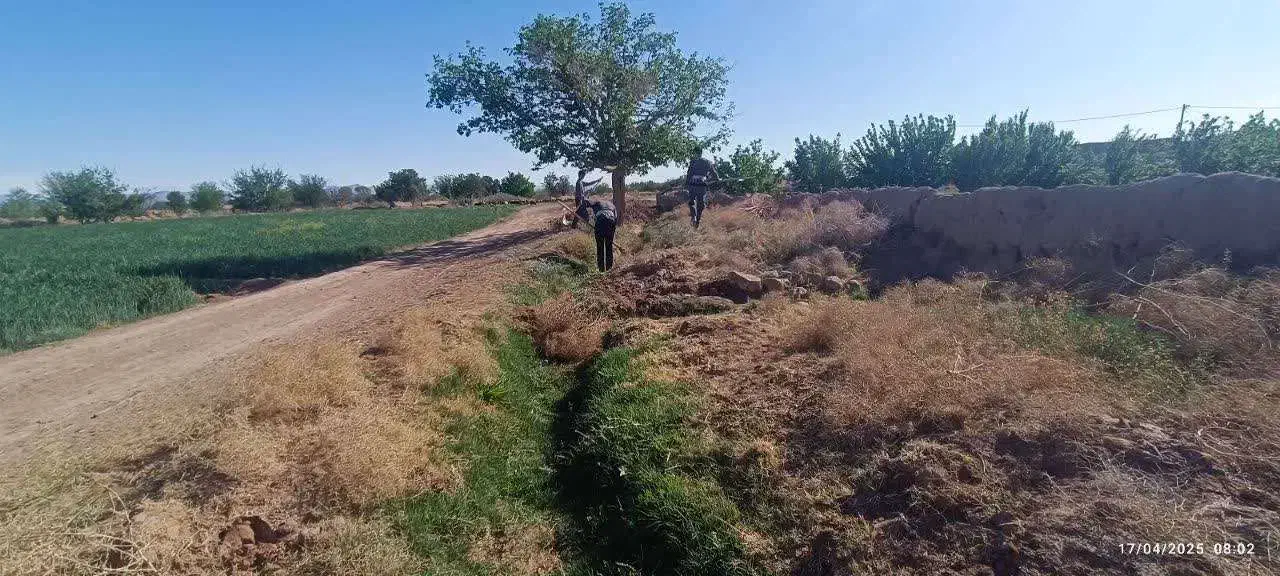 فروش گوسفند|حیوانات مزرعه|شاهرود, |دیوار